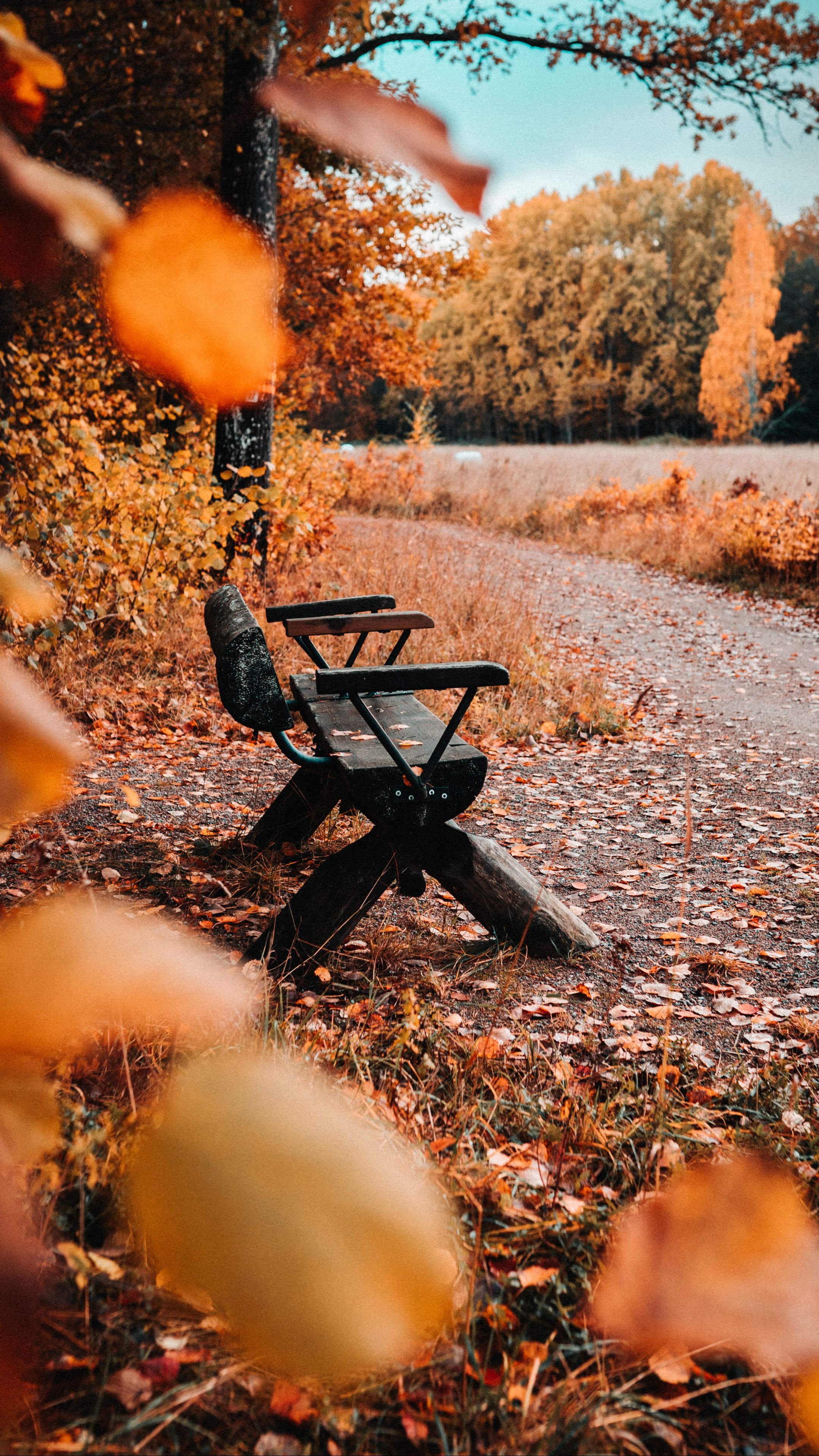 Download wallpaper 2160x3840 bench, nature, autumn, leaves, foliage, yellow  samsung galaxy s4, s5, note, sony xperia z, z1, z2, z3, htc one, lenovo  vibe hd background
