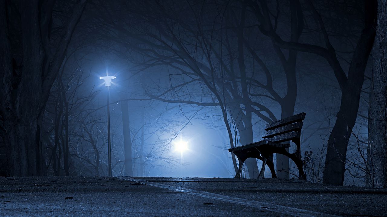Wallpaper bench, night, park, gloomy