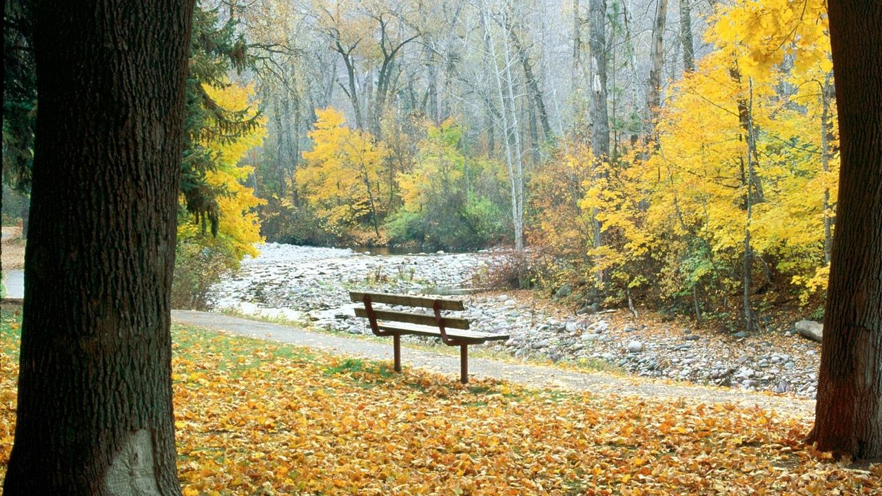 Wallpaper bench, park, autumn, trees, montana