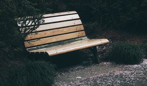 Preview wallpaper bench, park, foliage, trees