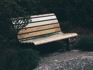 Preview wallpaper bench, park, foliage, trees