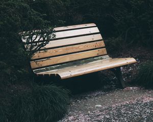 Preview wallpaper bench, park, foliage, trees