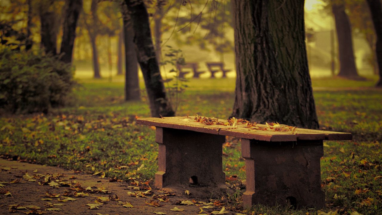 Wallpaper bench, park, leaves, autumn, trees, loneliness