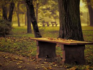 Preview wallpaper bench, park, leaves, autumn, trees, loneliness