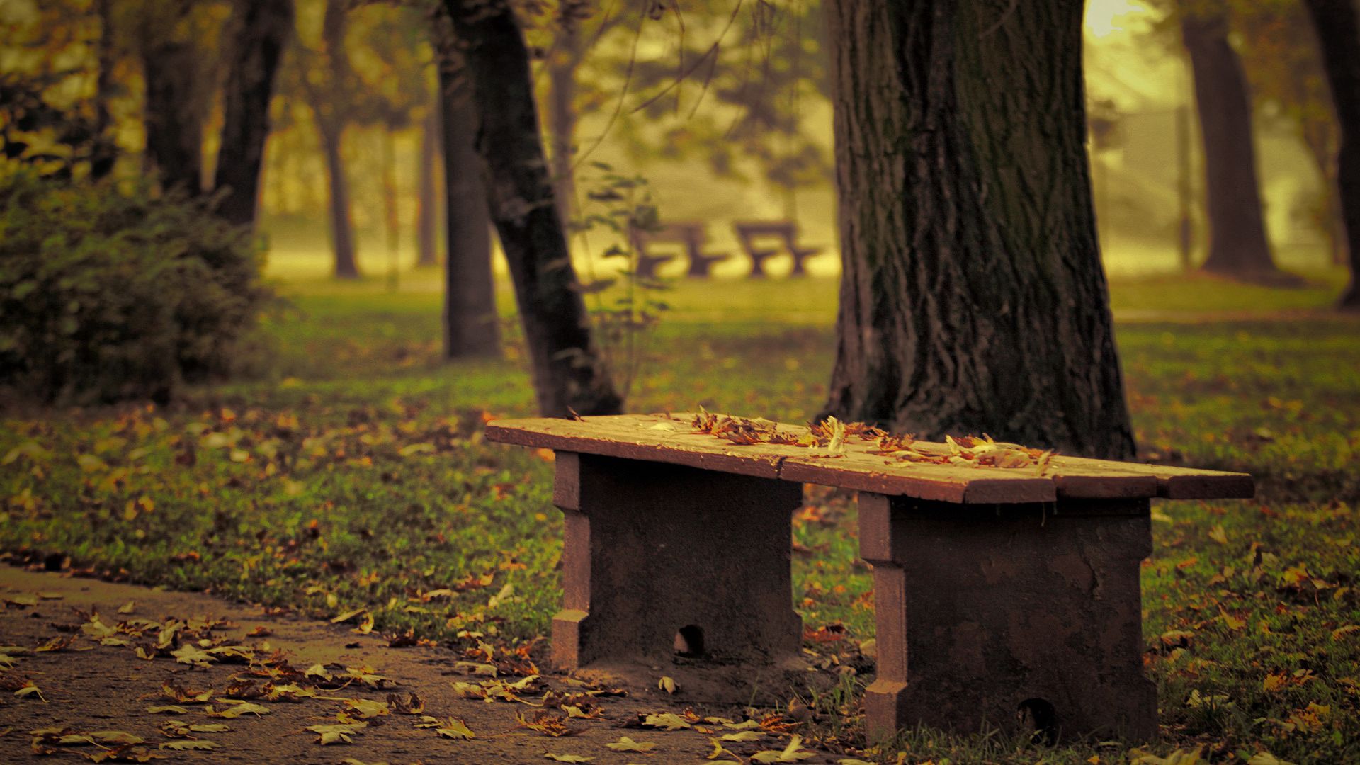 Download wallpaper 1920x1080 bench, park, leaves, autumn, trees, loneliness  full hd, hdtv, fhd, 1080p hd background