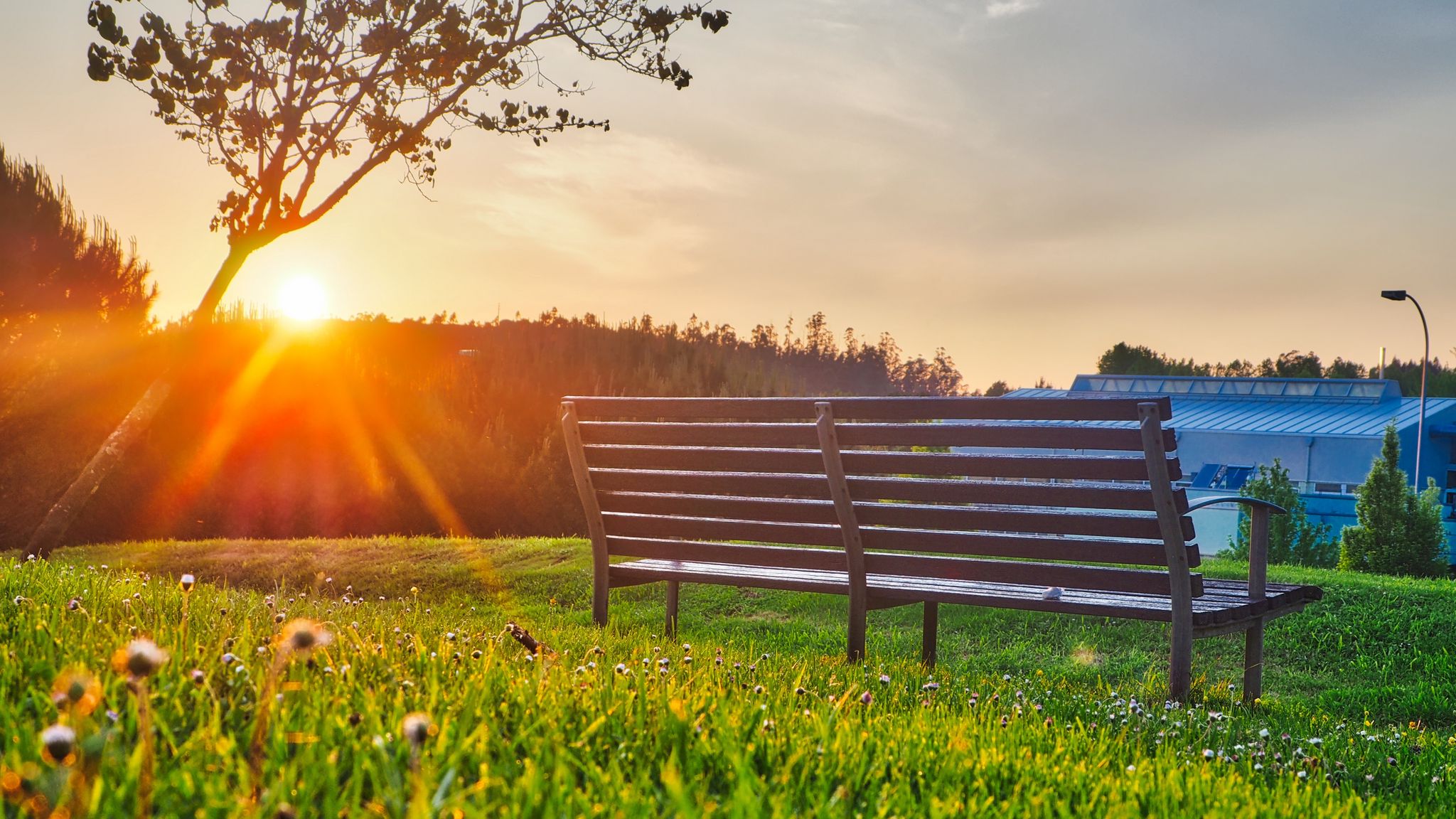 Download wallpaper 2048x1152 bench, park, sunlight, summer ultrawide ...