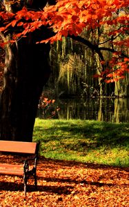 Preview wallpaper bench, park, tree, autumn, lake, light, lawn