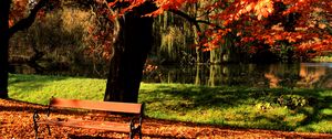 Preview wallpaper bench, park, tree, autumn, lake, light, lawn