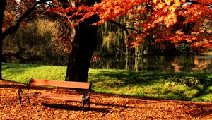 Preview wallpaper bench, park, tree, autumn, lake, light, lawn
