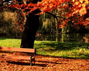 Preview wallpaper bench, park, tree, autumn, lake, light, lawn