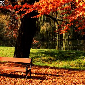 Preview wallpaper bench, park, tree, autumn, lake, light, lawn