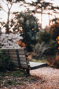 Preview wallpaper bench, path, trees, park