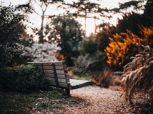 Preview wallpaper bench, path, trees, park