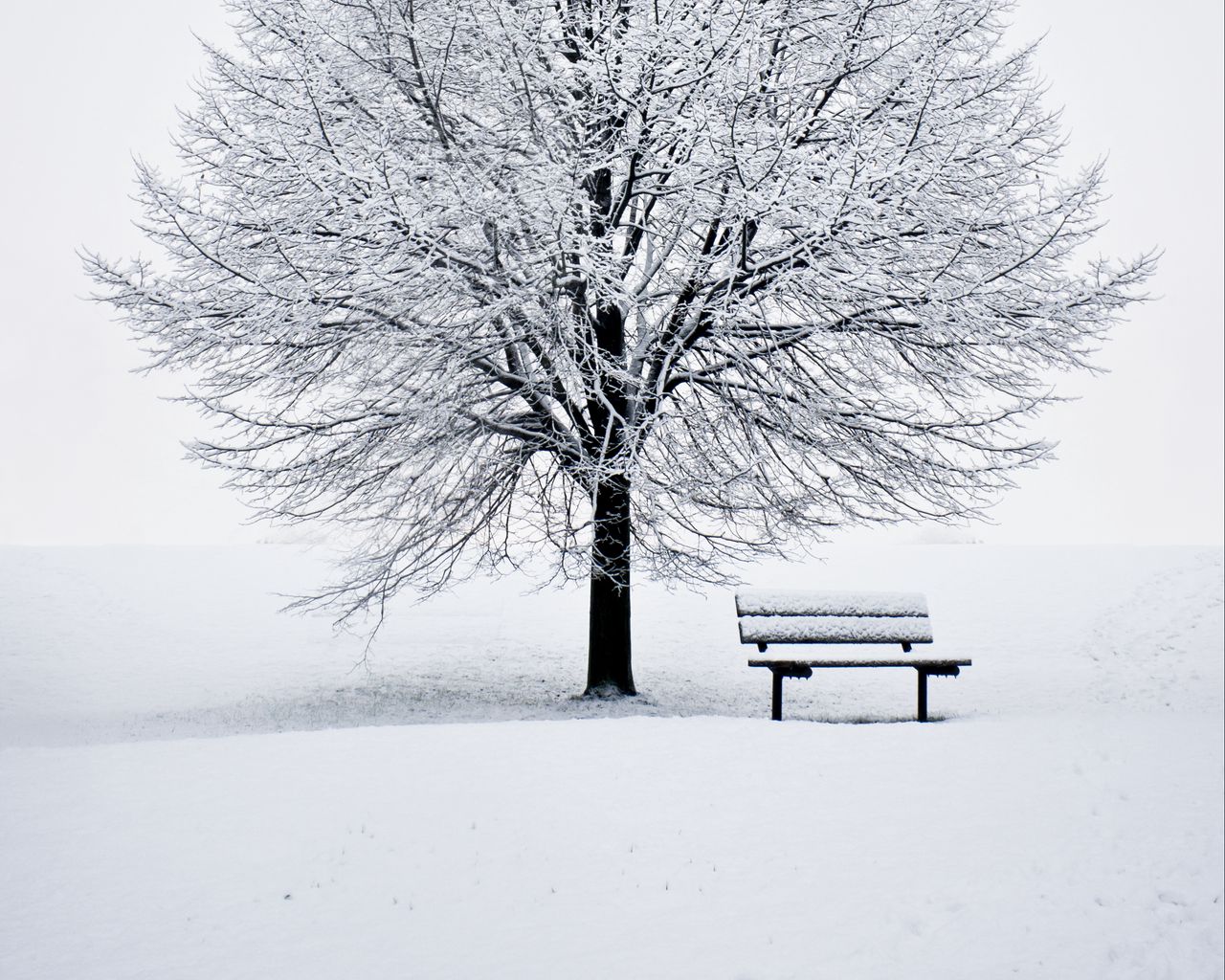 Download wallpaper 1280x1024 bench, snow, winter, wood, minimalism standard  5:4 hd background