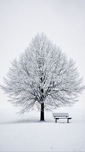 Preview wallpaper bench, snow, winter, wood, minimalism