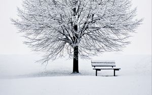 Preview wallpaper bench, snow, winter, wood, minimalism
