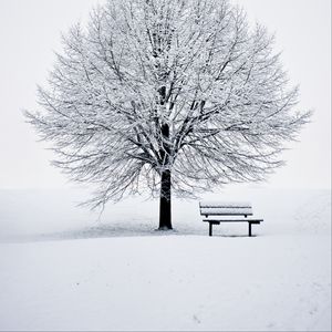 Preview wallpaper bench, snow, winter, wood, minimalism