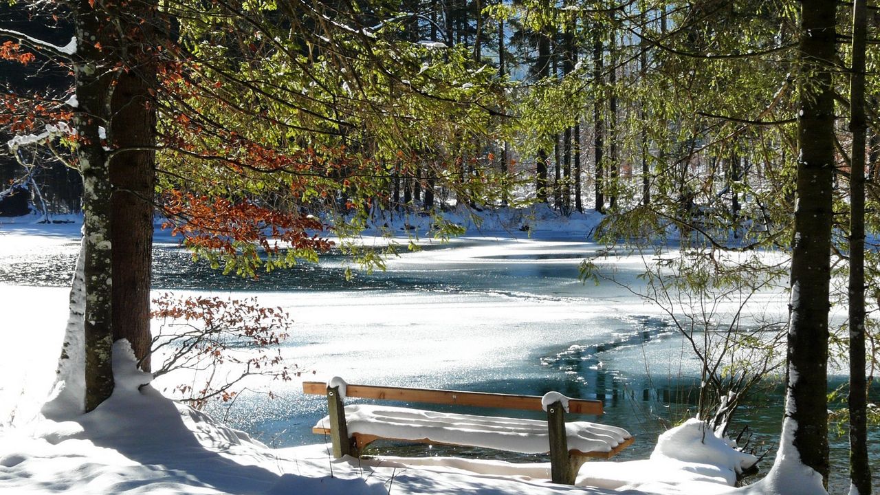 Wallpaper bench, spring, coast, lake, ice, thawing, snow, trees