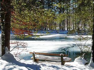 Preview wallpaper bench, spring, coast, lake, ice, thawing, snow, trees