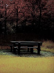 Preview wallpaper bench, table, wood, glade, autumn