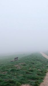 Preview wallpaper bench, track, fog, haze, road