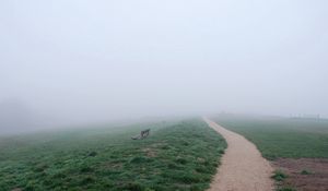 Preview wallpaper bench, track, fog, haze, road