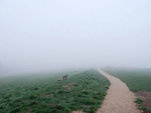 Preview wallpaper bench, track, fog, haze, road