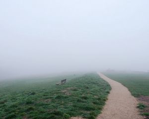 Preview wallpaper bench, track, fog, haze, road