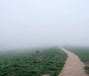 Preview wallpaper bench, track, fog, haze, road