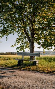 Preview wallpaper bench, tree, branches, road