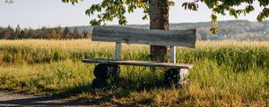 Preview wallpaper bench, tree, branches, road