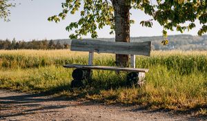 Preview wallpaper bench, tree, branches, road