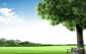 Preview wallpaper bench, tree, meadow, sky