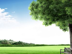 Preview wallpaper bench, tree, meadow, sky