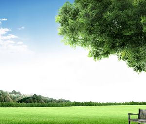 Preview wallpaper bench, tree, meadow, sky