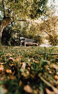 Preview wallpaper bench, trees, nature