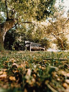 Preview wallpaper bench, trees, nature