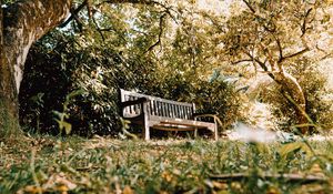 Preview wallpaper bench, trees, nature