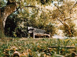 Preview wallpaper bench, trees, nature