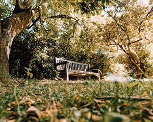 Preview wallpaper bench, trees, nature
