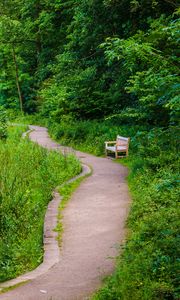 Preview wallpaper bench, trees, trail