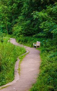 Preview wallpaper bench, trees, trail