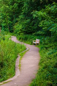 Preview wallpaper bench, trees, trail