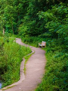 Preview wallpaper bench, trees, trail