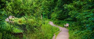 Preview wallpaper bench, trees, trail