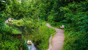 Preview wallpaper bench, trees, trail