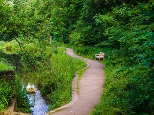 Preview wallpaper bench, trees, trail