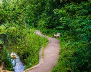 Preview wallpaper bench, trees, trail