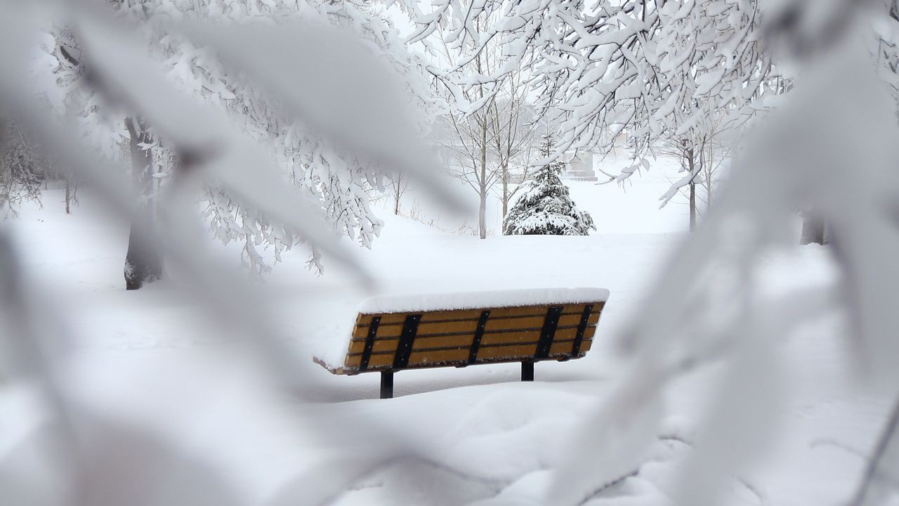 Wallpaper bench, winter, snow, branches, minimalism