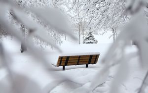 Preview wallpaper bench, winter, snow, branches, minimalism